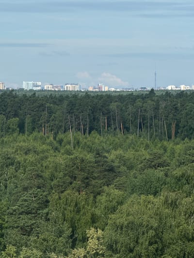 This is a vertical, aerial photograph of a city skyline bordering a dense forest. The city, likely Balashikha, Russia, features a mix of modern, multi-story apartment buildings with light-colored facades and some older, lower-rise structures. A tall, slender tower, possibly a telecommunications tower, is visible in the distance, silhouetted against the hazy sky. The forest is a thick expanse of green, with a variety of trees, some appearing taller and sparser, hinting at a mix of coniferous and deciduous species. Interspersed within the treeline are a few dead or leafless trees, standing out with their bare branches.

The sky is overcast with a pale blue hue, suggesting it might be daytime, perhaps late morning or afternoon, with diffused light. The weather appears calm, with no strong indications of wind. The scene captures the edge of urban development encroaching upon a natural landscape, offering a view of the coexistence of city life and nature. There is no visible text in the image.
