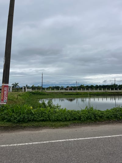This is a photograph taken from a roadside, looking towards a body of water bordered by lush green vegetation. In the foreground, a portion of an asphalt road with a white stripe is visible. To the left, a tall, weathered utility pole stands with a red and white sign attached to it. Beyond the vegetation, a white fence runs along the edge of the property, with a few trees and buildings visible behind it. The sky is overcast with a layer of clouds, and in the distance, mountains can be seen. The overall impression is of a rural or semi-rural setting. The location is identified as Hemu, Bangladesh.