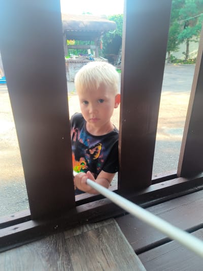 A young boy with blond hair peers through wooden slats, his gaze directed forward. He is wearing a black t-shirt with a colorful, abstract design. His right hand is extended, holding a white cylindrical object, possibly a stick or a pole. The background suggests an outdoor setting, with trees and a structure that resembles a well or a gazebo visible. The ground appears to be asphalt or a similar paved surface. The overall impression is a candid moment of a child engaged in an activity outdoors.