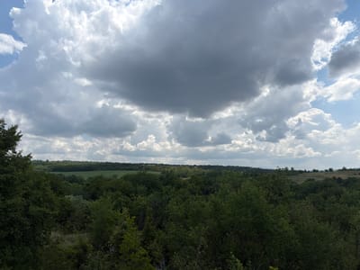 The image depicts a panoramic view of a dense forest with a vast sky filled with dramatic clouds. The foreground is dominated by lush green trees, with varying shades and textures indicating a variety of species. In the middle ground, rolling hills are covered with more trees, interspersed with patches of cultivated fields, likely agricultural land. The background features a distant horizon with a light green, possibly grassy, terrain. The sky above is a striking contrast, with heavy, dark grey storm clouds taking up a significant portion, partially obscuring the lighter, scattered white clouds and patches of blue sky. The lighting suggests an overcast day, possibly before or after a rain shower. This scene appears to be a natural landscape, characteristic of the region surrounding Lukovit, Bulgaria, known for its rural and forested areas. There are no people or animals visible in the image.
