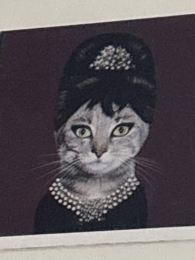 This is a close-up, low-angle, tilted photograph of a gray cat's face, rendered in a painterly style. The cat has green eyes and is wearing a black outfit adorned with small, reflective studs around the neck and on what appears to be a headdress or hat. The background is a dark, textured purple. The overall impression is a stylized portrait, perhaps a painting or a digitally altered photograph, emphasizing the cat's expressive eyes and the decorative elements of its attire. The lighting is soft and even, with no clear indication of time of day or weather. The image is cropped tightly on the cat's head and shoulders, with a sliver of white border visible on the right and left sides, suggesting it might be part of a larger printed piece or a photograph of a photograph. There is no visible text in the image.
