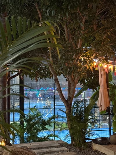 The image depicts a dimly lit outdoor scene at night, likely in a tropical location given the lush greenery and palm fronds in the foreground. The scene appears to be a restaurant or a bar, with string lights and decorative flags visible in the upper left portion of the image, suggesting a festive atmosphere.
Behind the foliage, a large window or glass wall reveals an indoor space. This interior is illuminated with vibrant blue and green neon lights, creating a striking contrast with the dark outdoor setting. Silhouettes of people can be seen through the glass, suggesting patrons or staff inside. The blue light reflects on the glass, adding to the atmospheric and somewhat mysterious ambiance.
The overall impression is one of a lively nighttime establishment in a place like Baan Hua Thanon, Thailand, where outdoor and indoor elements blend to create an inviting and visually engaging environment. The time of day is clearly night, and the presence of artificial lighting suggests fair weather. There is no visible text in the image.