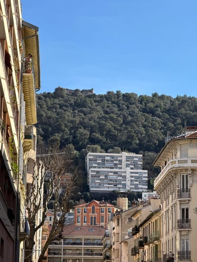 The image depicts an urban landscape in Nice, France, looking towards the densely forested Castle Hill (Colline du Château) under a clear blue sky.
In the left foreground, a multi-story building with a light yellow/beige facade, numerous balconies, and dark shutters is partially visible. On a balcony on the upper left, a person wearing a hat and a patterned garment is standing, facing outwards. A terracotta potted plant is also present on this balcony.
Below the Castle Hill, in the midground, a prominent modern, multi-story white residential building with multiple balconies and horizontal lines of windows is visible, appearing to be built into the hillside. Below this, various other buildings of differing architectural styles and colors are present, including an orange/red structure with tall windows and several buildings with tiled roofs and balconies. Bare deciduous trees with dark branches stand in the lower midground. On the right, a multi-story building with ornate white/cream plasterwork and balconies with decorative railings is partially visible.
The background is dominated by the large, dark green, densely forested Castle Hill, topped by the stone ruins of a fortification or castle. The sky above is clear and bright blue.