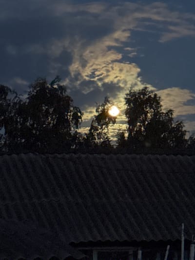 The image depicts a nighttime scene in Rodino, Russia. The sky is dark blue, with scattered clouds that are illuminated by the bright, full moon. The moon is a prominent feature, appearing as a luminous orb partially obscured by clouds. Silhouetted against the sky are the dark shapes of trees, their branches reaching upwards. In the foreground, a dark, corrugated roof of a building is visible, taking up the lower portion of the frame. The overall impression is one of a quiet, natural setting under the moonlight.