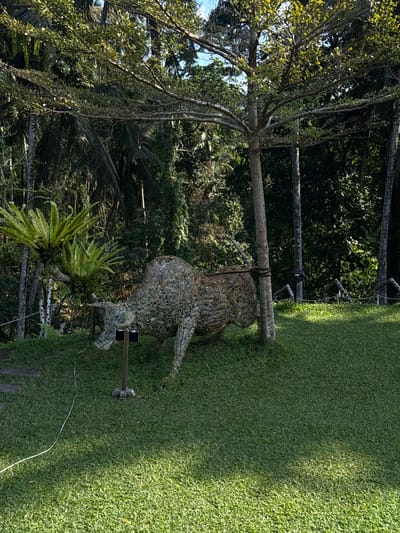 The image depicts an outdoor scene in Tegallalang, Indonesia, featuring a wire sculpture of a bull positioned on a lush green lawn. The bull sculpture is intricate, made of intertwined wires, and appears to be a permanent art installation. Behind the sculpture, a variety of tropical vegetation is visible, including palm trees and large ferns, suggesting a jungle or park-like environment. A slender tree with a light-colored trunk stands to the right of the bull sculpture, with its branches extending over the scene. The ground is covered in well-maintained grass, with some stone pathways visible on the left. The lighting suggests it is daytime, with sunlight casting shadows on the grass. There are no people present in the image.