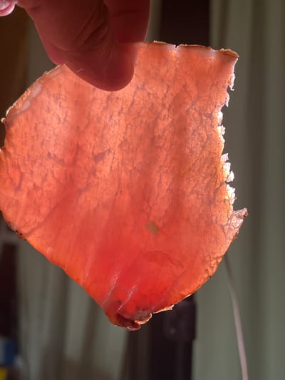 A person's hand holds a thin, translucent slice of cured meat, possibly ham or prosciutto, up to the light. The meat is reddish-orange and displays a fibrous, marbled texture. The edges of the meat are uneven and slightly browned. The background is blurred, suggesting an indoor setting with curtains or blinds visible. The image captures the delicate nature of the thinly sliced meat against a diffused light source.
