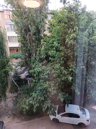 An elevated view of an urban courtyard scene in Goryachiy Klyuch, Russia, reveals a white sedan parked on a dirt and asphalt surface, partially obscured by dense green foliage. The car, facing right, has a yellow taxi light on its roof. Behind the car and to the left, a multi-story building with balconies and windows is visible, interspersed with trees. The foreground is dominated by the leaves of trees, suggesting a close proximity to nature within the urban environment. The overall impression is a snapshot of a quiet residential area, likely taken from a window or balcony.