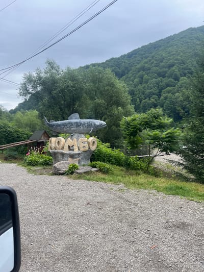 A statue of a large fish is mounted on a rock pedestal, which also has the word "HOMEO" carved into it in large, block letters. The statue and inscription are in front of a wooded mountain and a cloudy sky. A gravel road is visible in the foreground, with a portion of a car's side mirror on the left. A small wooden building with a pointed roof is located behind the statue.