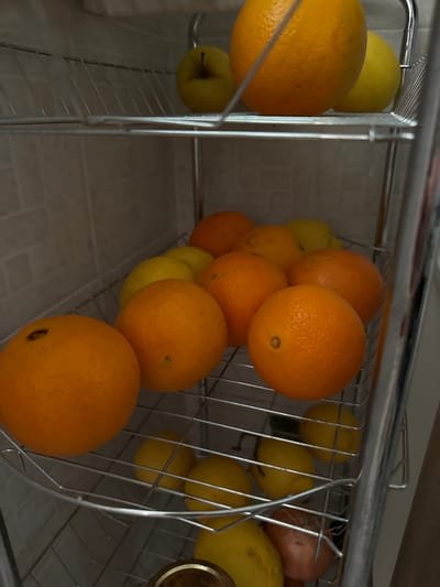 The image shows a metal wire fruit basket filled with oranges, lemons, an apple, and an onion. The fruit basket is likely located indoors, possibly in a kitchen based on the countertop above the basket and tiled wall behind it. There are no people visible in the image. The location is not verifiable as Aprilia, Italy from the provided image.
