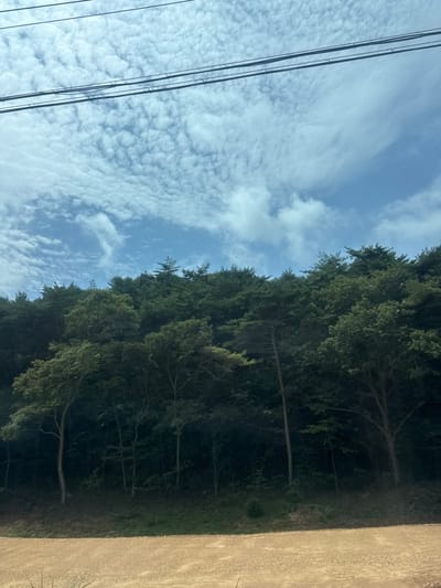 An outdoor, eye-level, wide shot captures a scene from Changgi-ri, South Korea. The composition is dominated by a lush, dark green forest that rises from a tan, gravel-strewn embankment in the foreground. Above the treeline, a bright blue sky is filled with a dense, textured pattern of wispy white clouds, reminiscent of altocumulus formations. Three parallel black power lines stretch horizontally across the upper portion of the frame, silhouetted against the sky. The forest itself is dense with a variety of trees, with some taller pines interspersed among broader-leafed species. The sunlight filters through the canopy, creating areas of deep shadow and lighter patches on the forest floor, which is not fully visible. No people or animals are present in the image.