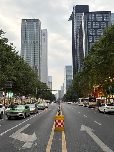This image depicts a bustling urban street scene on Daxue Road (大学路) in Jinjiang District, Chengdu, China. The perspective is looking down a wide thoroughfare under an overcast sky, flanked by modern high-rise buildings and mature trees.
In the immediate foreground, the asphalt road displays clear white painted arrows, indicating a left turn for the left lane and a straight direction for the right lane. A yellow cylindrical barrier with a red and white checkered pattern is positioned on the right edge of a median, which is demarcated by a double yellow line.
Vehicular traffic is present across multiple lanes. On the left side, several cars are visible, including a bright green Geely Borui sedan (license plate 川A DT5239) marked as a "TAXI." On the right side, a white city bus (license plate 川A1-1022D) is stopped or moving slowly, with a white sedan (license plate 川A D936U) behind it.
The left side of the street is dominated by towering modern skyscrapers. The most prominent building, a grey structure, is topped with the characters "锦玥酒店" (Jin Yue Hotel) and a distinctive circular logo. Adjacent to it stands a taller, slender white building featuring the blue logo and text "NCI 新华保险" (New China Life Insurance). Further down, more high-rise buildings recede into the distance.
On the right side of the street, storefronts at ground level display illuminated signs, including "鲜货大当家" (Fresh Goods Master) and "火锅" (Hot Pot). The trees lining this side of the street are adorned with strings of purple and white decorative lights. Taller, darker-toned modern buildings rise behind these commercial establishments.
Both sides of the street are heavily treed with mature, leafy deciduous trees, their canopies creating a boulevard effect. A blue street sign on the left side of the road identifies the location as "大学路" (Daxue Road). Multiple surveillance cameras are visible on poles throughout the scene. Pedestrians are discernible on the right sidewalk near the bus.