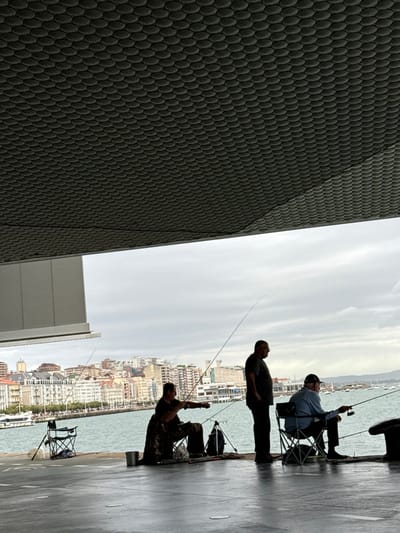The image depicts three adult males engaged in recreational fishing from a paved waterfront promenade in Santander, Spain, under an overcast sky.
The scene is framed by a large, dark grey, textured canopy overhead, featuring a repeating hexagonal pattern. A grey, vertically ribbed structure, likely part of an adjacent building or the canopy's support, is visible on the far left. The immediate foreground is a wide, dark, reflective paved surface, indicating dampness.
From left to right:
1. A male, seated on a black collapsible chair, wears a dark shirt and camouflage-patterned trousers. He holds a fishing rod angled into the water. A dark bucket, a dark bag, and a tripod-mounted fishing rod are positioned near him. A second collapsed black chair and a fishing rod rest further to his left.
2. A male, standing upright, wears a dark short-sleeved shirt and dark trousers. He holds a fishing rod angled towards the water.
3. A male, seated on a black collapsible chair, wears a light-colored long-sleeved shirt and a dark baseball cap. He holds a fishing rod angled into the water. A dark, stout mooring bollard is visible to his right.
The mid-ground features the calm, grey-blue water of the Bay of Santander, populated by numerous small, moored boats. The background consists of the densely built city of Santander, with multi-story buildings of varying colors and architectural styles stretching along the waterfront under a consistently cloudy, light grey sky.