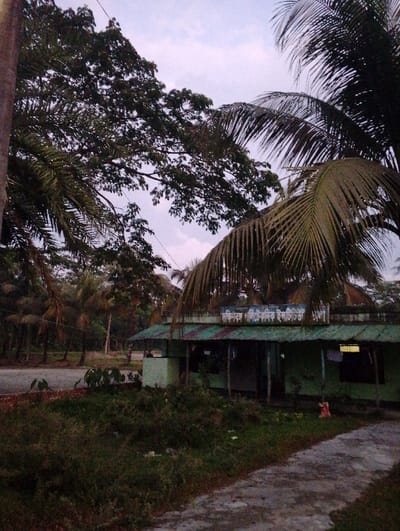 The image shows a single-story building with a green roof and a sign in Bengali script above the entrance. The building is located on a dirt road in a rural area. There are several palm trees in the foreground, and a row of trees in the background. The sky is overcast and it appears to be late afternoon or early evening. The building is located at the coordinates 22.66 latitude and 90.665 longitude in the city of Bhola, Bangladesh. A young child, possibly female, is visible in the foreground, near the side of the building, wearing a pink dress. The image was likely taken in the late afternoon or early evening, as the sun is low in the sky and the shadows are long.