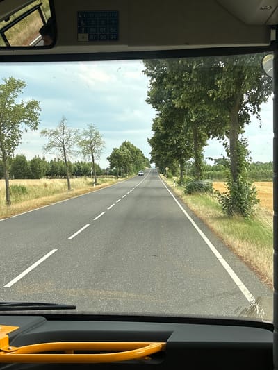 This media file captures a view from inside a bus, looking out through the windshield onto a rural road in Meckenheim, Germany. The scene depicts a bright, overcast day. Tall green trees line the left side of the road, their branches extending towards the windshield, casting some shade. On the right side, a grassy verge transitions into a field of dry, golden crops, likely wheat or barley.

The road itself is asphalt with clear white dashed lines marking the lanes, indicating it's a two-way street. A single dark car is visible in the distance, traveling in the same direction as the bus. There are sporadic, bare trees interspersed along the roadside. In the foreground on the left, a portion of the bus interior is visible, including a dark-colored dashboard and a reflective surface that shows a blurred image of a person's head. Also on the left, a sticker with multiple rows of numbers and symbols is adhered to the interior of the bus. The numbers include "310", "314", "310", "0", "0", "1", "66", "61", "62", "97", "96", "94". There are also symbols that appear to represent a wheelchair and a person. On the right side of the bus, a bright yellow handrail is prominent, a common feature in public transportation. The overall impression is that of a journey through a picturesque countryside.