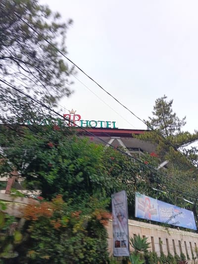 The image displays an exterior view of the Palace Hotel in Cipanas, Indonesia, captured from a slightly elevated position. The hotel's rooftop sign is prominently visible, featuring a red stylized letter "P" topped with a golden crown, followed by the word "HOTEL" in green capital letters. The building exhibits a red-brown roofline and exposed white diagonal structural elements below the roof. Dense green and reddish-orange foliage extensively covers and partially obscures the lower levels of the hotel. Against an overcast, light gray sky, multiple black power lines traverse the upper and mid-sections of the frame. In the foreground, below the hotel structure, a light-colored, segmented retaining wall is visible. Attached to or placed near this wall are two vertical promotional banners: a gray one on the left displaying indistinct human figures, and a larger blue one on the right advertising "HALFDAY TRANSIT" with a price of "Rp. 1.000.000,-" and graphics of interior spaces. Additional green and succulent vegetation is present along the base of the wall. Significant motion blur is evident in the foliage, particularly on the left, suggesting the photograph was taken while in motion. No discernible individuals are present within the scene.