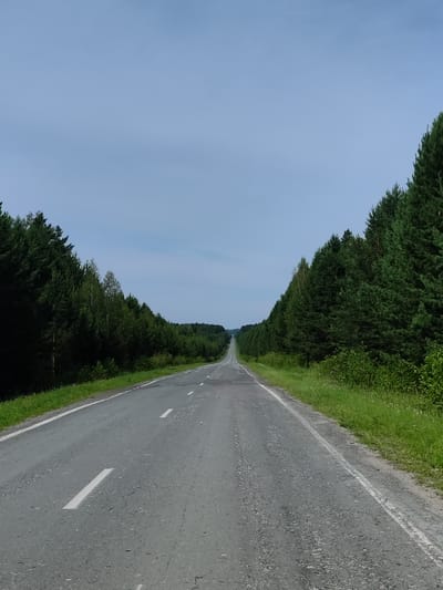 The image shows an asphalt road stretching into the distance, flanked by dense evergreen forests on both sides. The sky is a pale blue with some wispy clouds. The road has white lane markings. The scene appears to be in a rural or natural setting, possibly outside of a town or city.