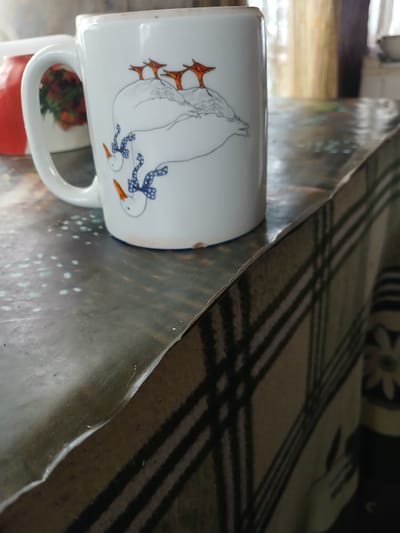In Hlushky, Ukraine, a white ceramic mug with a drawing of three geese wearing blue and white polka dot bows is placed on a patterned tablecloth. The mug is positioned on the left side of a dark, textured surface, possibly a table. The tablecloth has a plaid pattern with dark green and black stripes on a light background, with floral motifs visible on its right side. In the background, a red object with a floral design is partially visible behind the mug. The overall scene suggests an indoor setting, likely a home.