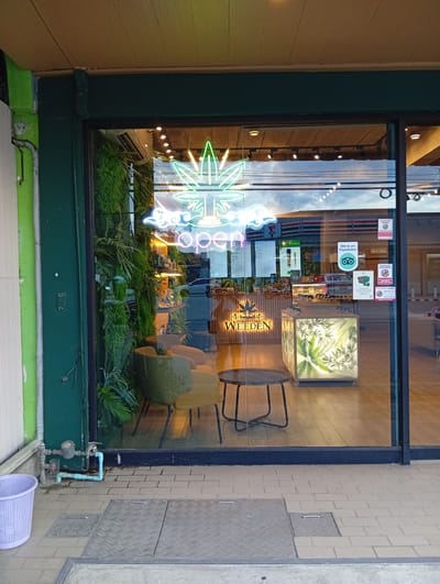 The image shows the exterior of a cannabis dispensary with a large glass storefront. A neon sign above the entrance displays a marijuana leaf and the word "open" in glowing green and pink. Inside, the store is decorated with artificial plants and displays of cannabis products. A wooden counter is visible, as well as illuminated display cases featuring cannabis leaves. Two armchairs are placed near the window. On the exterior, a purple laundry basket sits to the left of the entrance. A water meter and plumbing are visible on the wall next to the basket. The ground outside is paved with tiles and features metal manhole covers. The building is located in Baan Lamai, Thailand, as indicated by signage in Thai and English, including a "We're on Tripadvisor" sticker. A 7-Eleven store is visible across the street through the glass. The sky in the reflection suggests it is evening.