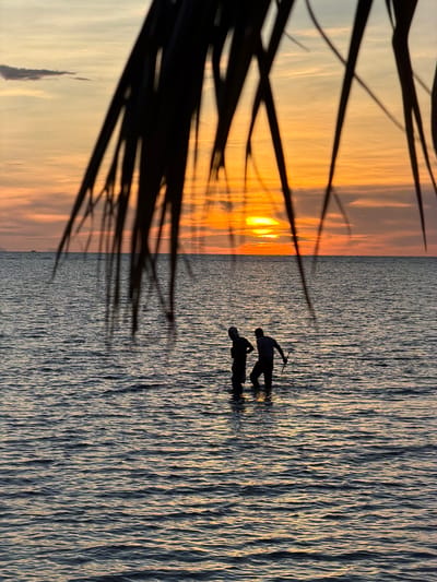 In Choeng Mon, Thailand, at sunset, two individuals stand in shallow water. The sky is a gradient of orange, yellow, and pale blue, with wispy clouds. The sun, partially obscured by clouds, casts a warm glow on the scene. Dark, silhouetted palm fronds hang from the top of the frame, partially obscuring the sky. The water is calm, with gentle ripples reflecting the colors of the sunset. The two people, silhouetted against the bright sky, appear to be wading or fishing. One individual is wearing a hat. The other person holds a long pole, possibly for fishing or probing the water.