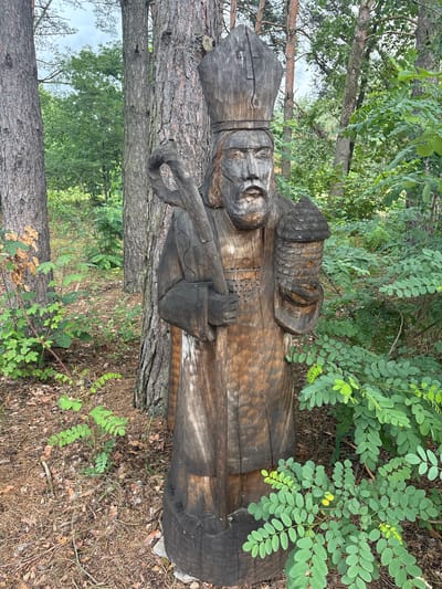 In Sielachowskie, Poland, a carved wooden sculpture of Saint Nicholas stands in a wooded area. The sculpture depicts him wearing a bishop's mitre and holding a crook in his left hand and a beehive in his right. He has a long beard and is dressed in robes. The sculpture is weathered and dark, with visible carving marks. It is placed amongst trees and dense green foliage, with pine needles and dry leaves covering the ground. The background consists of more trees and an overcast sky.