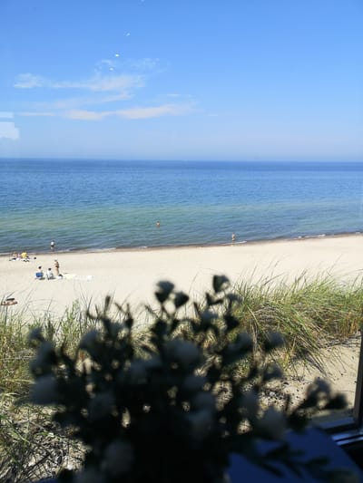 A bright, sunny day at a beach in Morskoye, Russia. The scene captures a wide expanse of the Baltic Sea, with its calm, blue waters meeting a sandy shoreline. The sky is a clear, vibrant blue with a few wispy clouds, and reflections of what appear to be kites or paragliders are visible in the upper portion of the image.
The beach itself is populated by several individuals enjoying the weather. A small group of people are gathered on the sand, some seated on chairs, while others are lying down. Further down the beach, a few individuals are in the shallow water, with one person wading and another swimming further out.
In the foreground, the view is partially obscured by blurred foliage and grasses, suggesting the photo may have been taken from an elevated position, perhaps a window or balcony. The overall impression is one of a peaceful and leisurely day at the seaside.