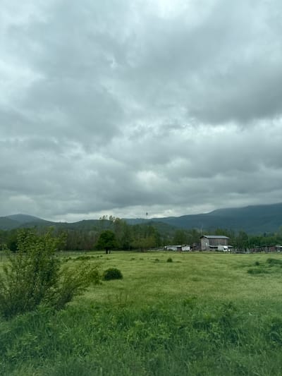 The image depicts a landscape in Laga, Bulgaria, under an overcast sky. A mountain range runs diagonally from the upper center to the lower left. A field of dense green vegetation, possibly tall grass or wildflowers, stretches across the right side of the image. A cluster of buildings, including what appears to be a barn, is located along the boundary between the mountain and the field. Trees line the edge of the field in certain segments.