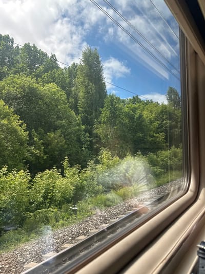 The image displays a vibrant view from inside a vehicle window, likely a train, showcasing a lush natural landscape under a bright sky. The light beige window frame is visible along the top and right edges, with reflections on the glass showing thin horizontal lines, possibly overhead power wires, and parts of the sky and clouds. A distinct sun flare is also present on the right side of the window.
Outside, the upper portion of the scene features a clear blue sky dotted with scattered white clouds. Below the sky, dense green trees with full foliage dominate the middle and left sections of the frame, suggesting a thriving forest or wooded area characteristic of spring or summer. Towards the lower right, parallel to the window, train tracks are visible, marked by grey gravel ballast and a concrete sleeper. A strip of vivid green bushes and undergrowth runs alongside the tracks. Several thin, dark lines, resembling power or catenary wires, stretch horizontally across the sky and through the treetops.
The scene conveys a sunny daytime journey through a verdant, natural environment, consistent with a rural or semi-rural setting like Куркачи, Russia. No people or visible text are present.
