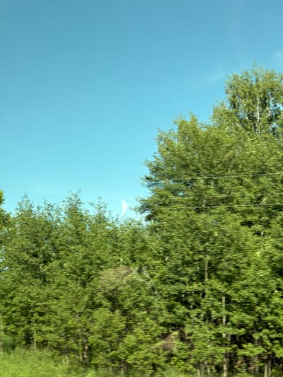 The image depicts a blurred view of trees and a clear blue sky, as if captured from a moving vehicle. The foliage is predominantly green, suggesting a summer or late spring setting. Several thin, horizontal lines, possibly power lines or wires, are visible across the scene, intersecting the trees. A small white flag or marker is faintly discernible amidst the trees. The lower part of the image shows green grass. There are no people or buildings visible. The scene conveys a sense of motion and an outdoor environment.