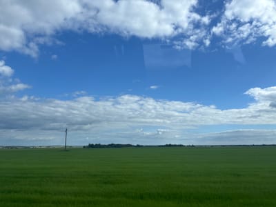This image depicts a rural landscape in Kapyĺ, Belarus, under a bright blue sky with scattered white clouds. The foreground is dominated by a vast, flat expanse of vibrant green crop, likely a field of flax or a similar agricultural plant, showing subtle horizontal striations from cultivation. In the middle ground, a solitary wooden utility pole stands prominently in the field, its dark form contrasting with the surrounding greenery. Further in the distance, a treeline marks the horizon, with a small cluster of buildings visible to the far left, suggesting a nearby settlement. Power lines are faintly visible stretching across the landscape between poles that are not in the frame. The overall impression is one of open, agricultural land under a dynamic sky, indicative of a clear summer day in the Belarusian countryside.