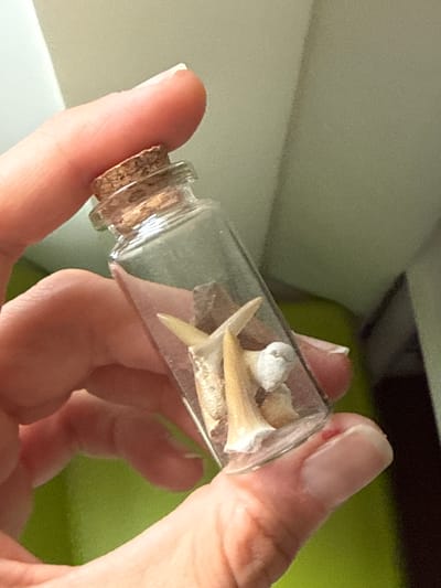 A person's hand holds a small glass bottle closed with a cork stopper. Inside the bottle are several small, pointed objects that appear to be shark teeth, along with a small white object. The background is out of focus, with a blurry green surface and a light-colored wall. The image does not provide any information about the city of Vsevolozhsk, Russia.