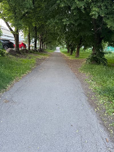 This image depicts a paved pathway lined with trees and green grass on both sides. On the left side of the pathway, a dark-colored SUV and a red car are parked near a row of trees and large rocks. In the background on the left, a multi-story building with a light-colored facade is visible. The pathway extends into the distance, disappearing among the trees. The scene appears to be a park or a tree-lined street within a city. The image is taken from a ground-level perspective, looking down the pathway.