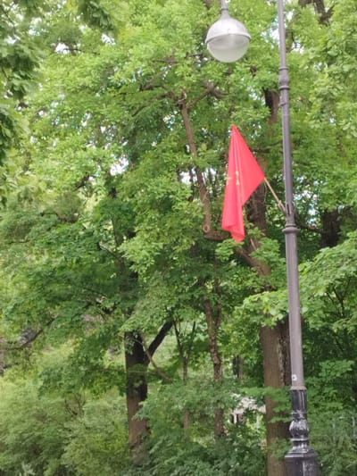 The image depicts a street lamp and a red flag against a backdrop of lush green trees. The street lamp is a traditional design, with a decorative base and a globe-shaped light fixture. The red flag is attached to a pole and appears to be made of fabric, fluttering slightly in the breeze. The trees are dense and leafy, suggesting a park or a tree-lined street. The overall scene is natural and tranquil, with the vibrant red of the flag providing a splash of color against the dominant green. The lighting suggests it's daytime, possibly late morning or early afternoon, with soft, diffused light filtering through the leaves. There are no people visible in the image. The number "13" is visible on the base of the lamppost. The setting could be Pushkin, Russia, given the context provided. There is no discernible activity or event taking place; it is a static scene.