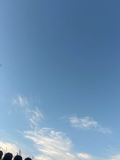 The image shows a bright blue sky with scattered wisps of white clouds. In the foreground, a dark, indistinct line of objects, possibly a fence or railing, runs across the bottom of the frame, with blades of grass or reeds rising above it. The lighting suggests it is daytime, possibly late afternoon or early morning due to the angle of the light and the overall clarity of the sky. There are no people or animals visible. The scene appears to be an outdoor location, possibly on the outskirts of Bârnova, Romania, given the presence of vegetation and the open sky.