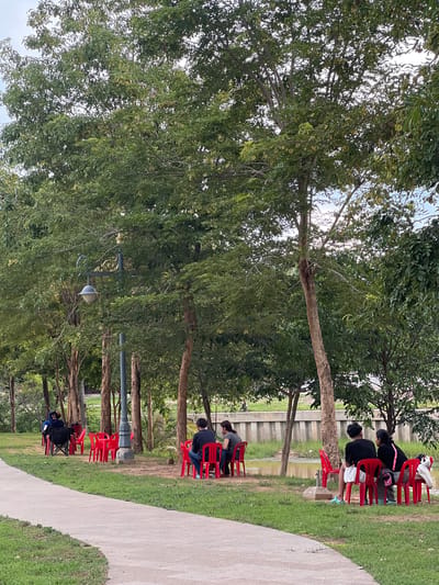 In Siem Reap, Cambodia, a park setting features a paved walkway curving through lush green grass. Several red plastic chairs are arranged in clusters under the shade of tall trees, some occupied by people. In the foreground, the walkway is prominent. Further back, a group of individuals are seated at tables marked by the red chairs, some facing a body of water. A lamppost with ornate detailing stands amidst the trees. The environment appears tranquil and provides a space for relaxation and social gathering.