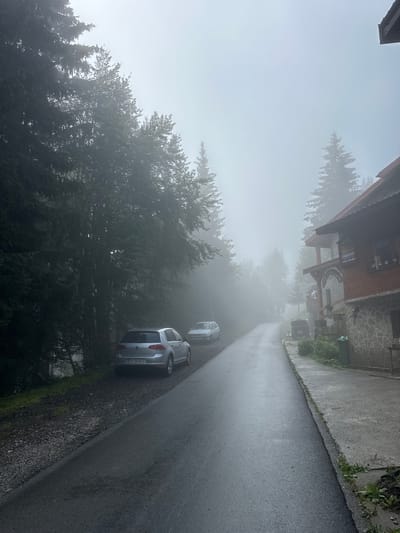 The image shows a paved road in Trešnjevik, Montenegro, shrouded in thick fog. Tall evergreen trees line the left side of the road, with a silver Volkswagen Golf parked on the gravel shoulder. Further down the road, another silver car is partially visible. On the right side of the road, a wooden building with a stone foundation is situated. The building has a covered porch with visible wooden beams and a sign that appears to say "WELCOME." The fog creates a somber and isolated atmosphere, obscuring the visibility of the surroundings and the extent of the road ahead. The ground is wet, suggesting recent rain or damp conditions. There are no people visible in the scene.