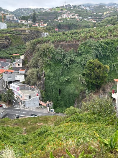 The image shows a steep hillside dotted with houses and banana plantations in Câmara de Lobos, Portugal. A road winds through the scene, with a white SUV visible on it. Residential buildings, some with red tiled roofs, are scattered across the landscape, with a few larger, modern structures also present. The hillside is densely covered in green vegetation, including banana trees. The sky is overcast. In the foreground, there is a grassy area with some scattered orange wildflowers.