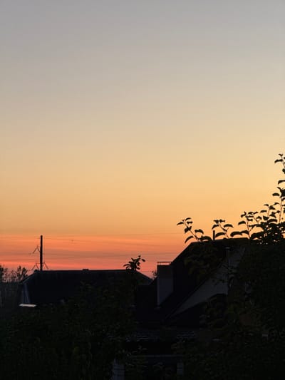 The image depicts a sunset scene over a residential area in Ivatsevichy, Belarus. The sky transitions from a pale gradient of yellow and orange at the horizon to a lighter, almost gray hue at the top. Silhouetted against the vibrant sky are the rooftops of several houses, some with visible chimneys. In the foreground, dark green foliage from trees partially obscures the view of the houses and adds depth to the composition. A utility pole with power lines is visible in the distance, cutting across the lower part of the sky. The overall atmosphere is calm and serene, characteristic of twilight.