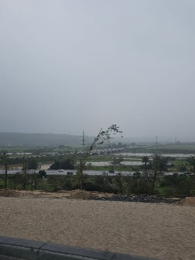 An elevated perspective reveals a landscape under a hazy sky. A multi-lane highway, intermittently dotted with moving vehicles, stretches through a verdant expanse. Patches of water reflect the sky amidst the greenery. In the foreground, a portion of a road or pathway is visible, suggesting the vantage point is from a higher location, possibly a bridge or elevated platform. Power lines punctuate the skyline in the distance.