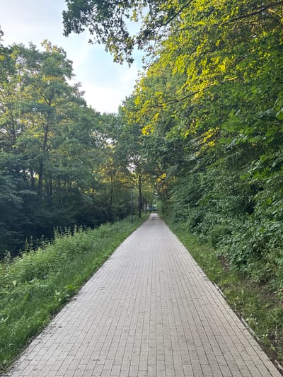 A paved pedestrian path with light gray square pavers extends into the distance, bordered by lush green vegetation and trees on both sides. The path is slightly angled, with the right side closer to the viewer. Sunlight filters through the dense green foliage, illuminating parts of the leaves and creating dappled light effects. The overall scene suggests a park or a tree-lined pathway within a suburban or urban green space. The sky above is a pale blue with some wispy clouds. There are no people or animals visible in the image. The setting appears to be a serene, natural environment within a city.