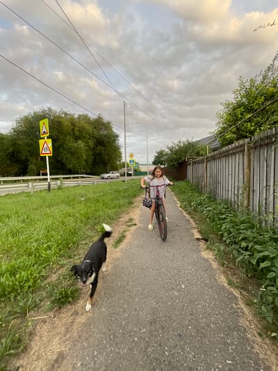 A young girl is riding a bicycle down a paved path. She is wearing a striped t-shirt and shorts. A black and tan dog is running alongside the path to her left, looking at the camera. The path is bordered by tall green grass and foliage on the left, and a metal fence on the right. Overhead, power lines crisscross the cloudy sky. Road signs are visible in the background, including a yellow sign with a black triangle indicating a speed bump and another yellow sign with a red border depicting children crossing. A silver car is parked on the road in the distance. The scene appears to be in a rural or suburban area in Donskoye, Russia.