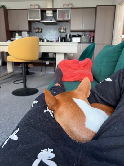 In a domestic interior, likely a kitchen-living area, a dog is nestled against its owner's leg, which is clad in black trousers with a white bunny pattern. The dog's head is resting on the owner's lap, with its ginger and white fur visible. The owner's legs are also covered by a dark fabric. In the background, a modern kitchen is visible with beige cabinets, a tiled backsplash, a range hood, and various appliances. A yellow bar stool stands in the foreground. A green sofa with a red cushion is also present. The lighting suggests daytime. The image was captured in Salford, United Kingdom.