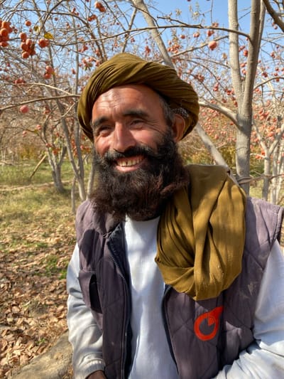 An adult male is depicted in a daytime outdoor setting, identified as an orchard in Bazar-e Panjva'i, Afghanistan. The subject, a man with a dark, full beard and mustache, wears an olive-brown turban and a matching scarf draped around his neck and right shoulder. He is dressed in a light-colored long-sleeved shirt beneath a dark grey quilted vest, which features an orange circular logo with an arrow-like element on the viewer's right side. He is smiling directly at the camera, revealing his teeth. The background features multiple deciduous trees with predominantly bare branches, heavily laden with numerous small, round, orange-red fruits. The ground is covered with fallen leaves and dry vegetation. A clear blue sky is visible in the upper portion of the frame.
