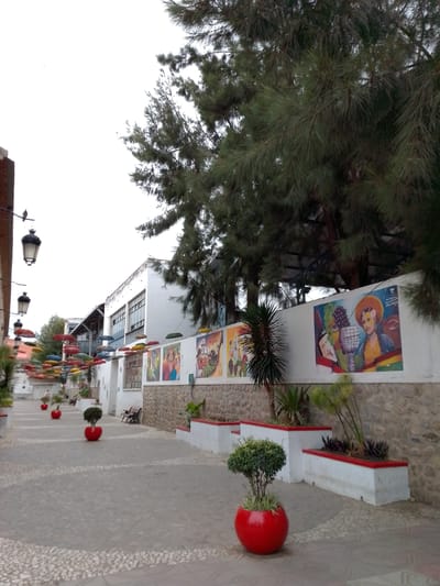 A street scene in Municipio Tarija, Bolivia features a cobblestone walkway lined with red spherical planters, each containing a small trimmed bush. The walkway is flanked by a low wall with a stone base and a white upper section. The wall is adorned with colorful murals. Above, a row of multi-colored umbrellas stretches across the street, providing shade. The buildings are a mix of white and brick construction. A large tree with dense foliage partially obscures the buildings and street on the right side of the image. A street lamp is visible on the left.