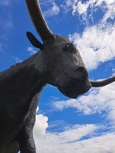 A low-angle, close-up photograph captures a portion of a dark, textured sculpture of a bull's head and upper body set against a vibrant blue sky with scattered white clouds. The sculpture appears to be made of bronze or a similar dark metal, with visible textured details on the hide, face, and large horns. One horn curves upwards to the left, while another extends horizontally to the right. The bull's eye is a dark, deep-set socket, and its nostrils are clearly defined. The sculpture is positioned so that the sky fills most of the background, creating a dramatic contrast with the dark subject. This sculpture is part of the "Bull" sculpture by Mati Karmin, located in Rakvere, Estonia.