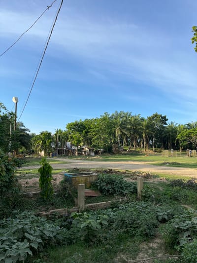 This media file depicts an outdoor scene in Alurcucur, Indonesia. The image is vertically oriented and shows a path bordered by lush greenery and trees, including palm trees. The sky is clear and blue, suggesting a sunny day.
On the right side of the path, there are various plants and vegetation, with some wooden posts interspersed. The path itself appears to be dirt or gravel, leading into the distance. On the left side of the path, a line of trees and some structures are visible, possibly homes or small shops, with corrugated metal roofs. A utility pole with electrical wires and a light fixture is also present in the foreground on the left.
The scene suggests a rural or semi-rural setting. The time of day appears to be late afternoon or early evening, given the soft lighting and long shadows. There are no people prominently visible in the frame, and the overall mood is one of tranquility and natural beauty. No text is discernible in the image.