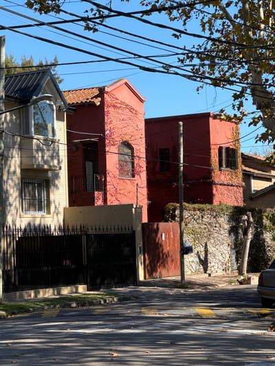 A street in Tigre, Argentina, shows a residential area with buildings of different heights and colors. A red, three-story building is covered in climbing vines. A neighboring building is light beige. Black wrought-iron fencing fronts these buildings. Electrical wires are prominent in the foreground, running across the sky. The street shows sunlight and shadow patterns. A tree with sparse leaves is visible on the left. A parked car is partially seen on the right.
