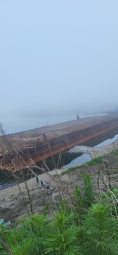 A rusty, derelict barge is moored in a foggy harbor in Slavyanka, Russia. The barge, likely a decommissioned vessel, has a long, flat deck that appears weathered and corroded. A metal ladder is visible, extending from the barge's deck down to the water. The surrounding environment is muted by a thick fog, obscuring the distance and creating a sense of isolation. The water is calm, reflecting the overcast sky. The foreground shows a rough, unkempt shoreline with dry grasses and vegetation. A coiled rope lies on the shore, possibly left from a past mooring. The overall scene suggests a forgotten or abandoned industrial site.