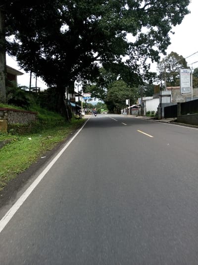 The image displays a straight, two-lane asphalt road extending into the distance under an overcast sky in Serpang Shalli, Bhutan. A solid white line delineates the left edge of the road, with yellow dashed lines visible further ahead, marking the center. To the immediate left of the road, a grassy shoulder gives way to a low stone retaining wall, behind which an embankment covered in dense green vegetation ascends. A large, mature tree with dark green foliage significantly shades the left side of the scene. Partially visible structures with light-colored walls and dark roofs are present behind the tree and embankment, alongside various signs, one of which is blue and white. On the right side of the road, another large tree with green foliage stands further down. Multiple buildings line the right side, one featuring a prominent white sign with black text, including the words "PRODUK DOKTER KECIL." A single individual operates a motorcycle, moving away from the viewer in the middle of the road in the mid-ground. Overhead power lines are visible against the sky.