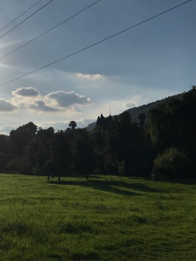 This landscape image, likely taken in Germiston, South Africa, captures a tranquil outdoor scene under a partially cloudy sky. The composition features a vibrant green grassy field in the foreground, a dark forested hill or mountain in the midground, and a bright sky.
In the foreground, lush green grass covers the lower section of the image, marked by elongated shadows that stretch across its surface, suggesting a low angle of the sun. The midground is dominated by a densely forested hillside, presenting a dark silhouette against the brighter sky. On the crest of this hill, a slender communication tower, resembling a radio or cell tower, stands prominently. Several trees, including one with a distinct palm-like shape, are visible along the tree line.
The upper portion of the image is filled with a light blue sky dotted with scattered white and grey cumulus clouds. Several dark utility wires or power lines run diagonally across the sky. A bright sun flare is visible in the lower left, indicating the sun's position close to the frame.
The presence of long shadows and the sun flare suggest that the photograph was taken either in the early morning or late afternoon. The weather appears fair with broken clouds. There is no visible text within the image. The scene portrays a blend of natural beauty and human infrastructure.