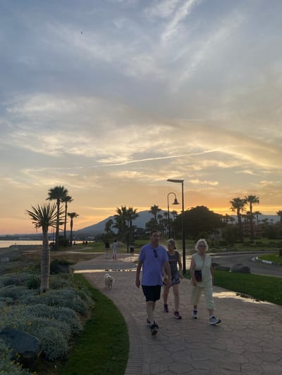 This is a vertical, full-shot photograph taken at sunset in Estepona, Spain. The sky is a mix of pale blue and vibrant orange, with wispy white clouds streaking across it. A bird is visible in the upper left of the frame.
In the foreground, a paved walkway runs alongside a grassy area with lush greenery and some flowering bushes. Several palm trees are scattered throughout the scene, adding to the tropical atmosphere. In the distance, mountains can be seen, silhouetted against the setting sun. The sea is visible in the lower part of the frame.
On the walkway, three people are walking. The person closest to the viewer is a man wearing a purple polo shirt and black shorts. Next to him is a woman in a grey t-shirt and shorts. Further ahead, an older woman in a pale yellow jumpsuit and glasses is walking. They appear to be enjoying a leisurely stroll. A fluffy white dog is also present on the walkway, looking towards the camera.
The overall mood of the photograph is peaceful and relaxed, with the warm glow of the sunset creating a serene ambiance. The scene suggests a pleasant evening activity, perhaps a walk after a day of sightseeing or relaxing by the sea. No visible text is present in the image.